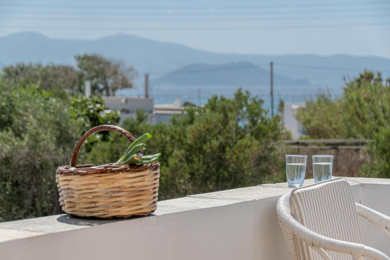 Studios Farma Agia Anna  Exterior photo